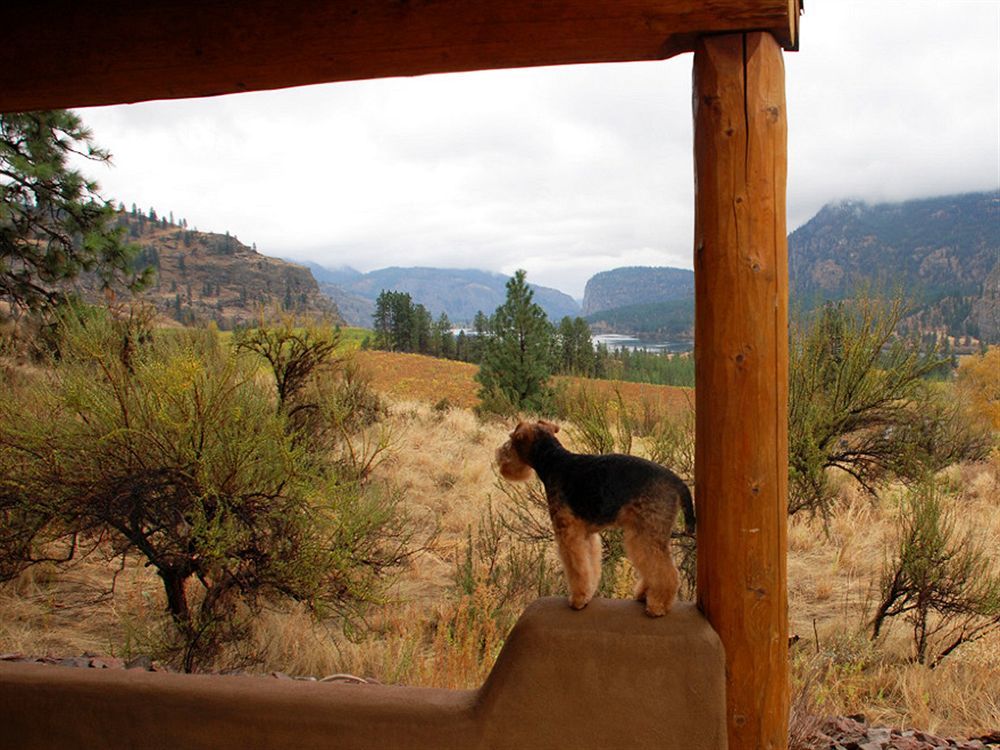 Bighorn Ridge Guesthouse Okanagan Falls Exterior foto