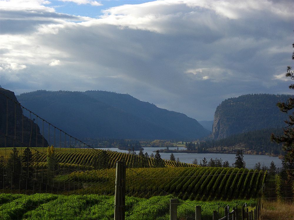 Bighorn Ridge Guesthouse Okanagan Falls Exterior foto